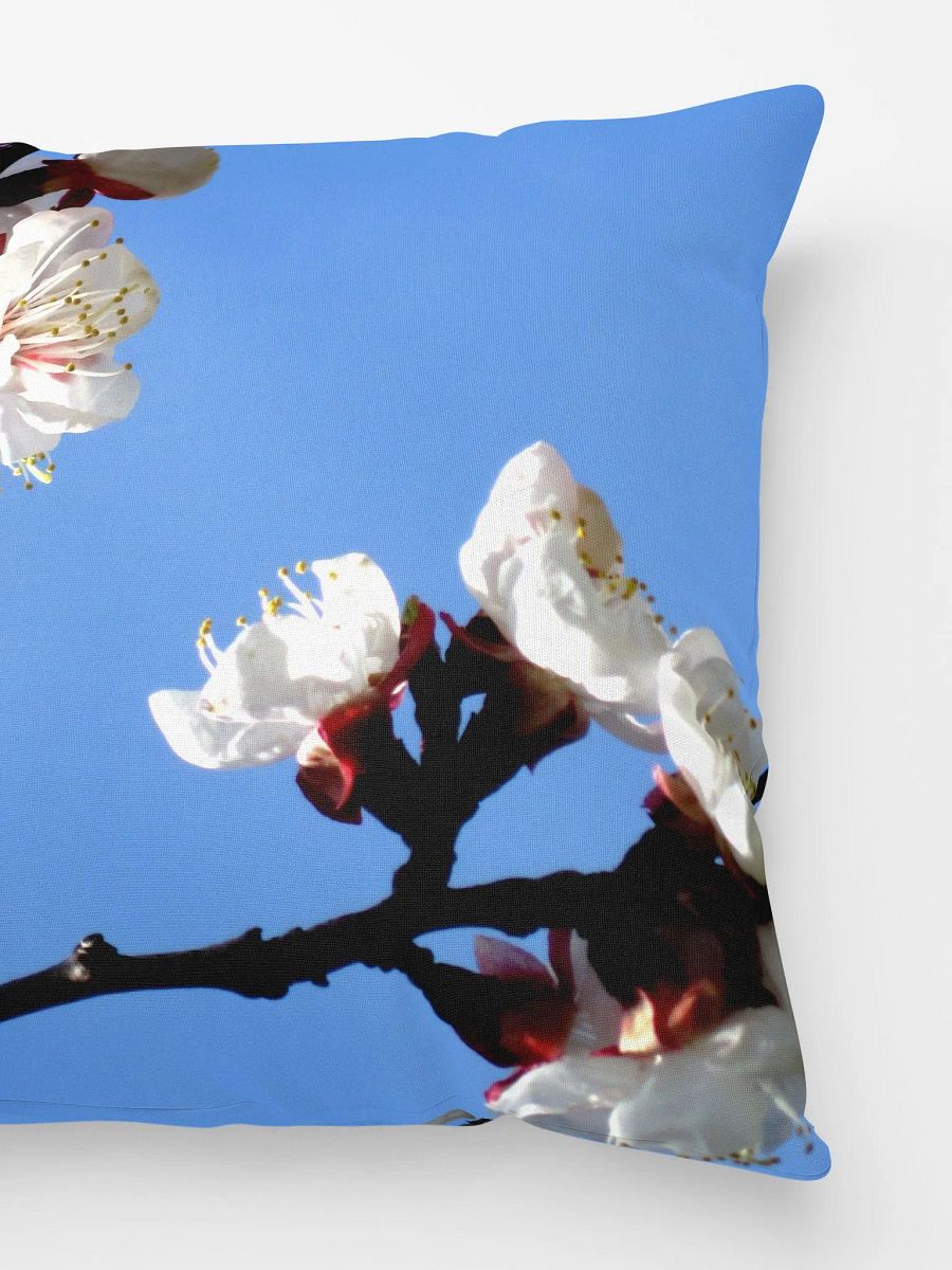 Apricot Blossoms Pillow product image (2)