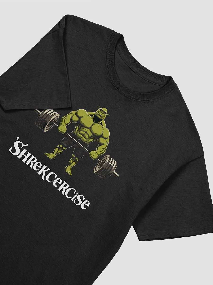 Shrekcercise product image (3)