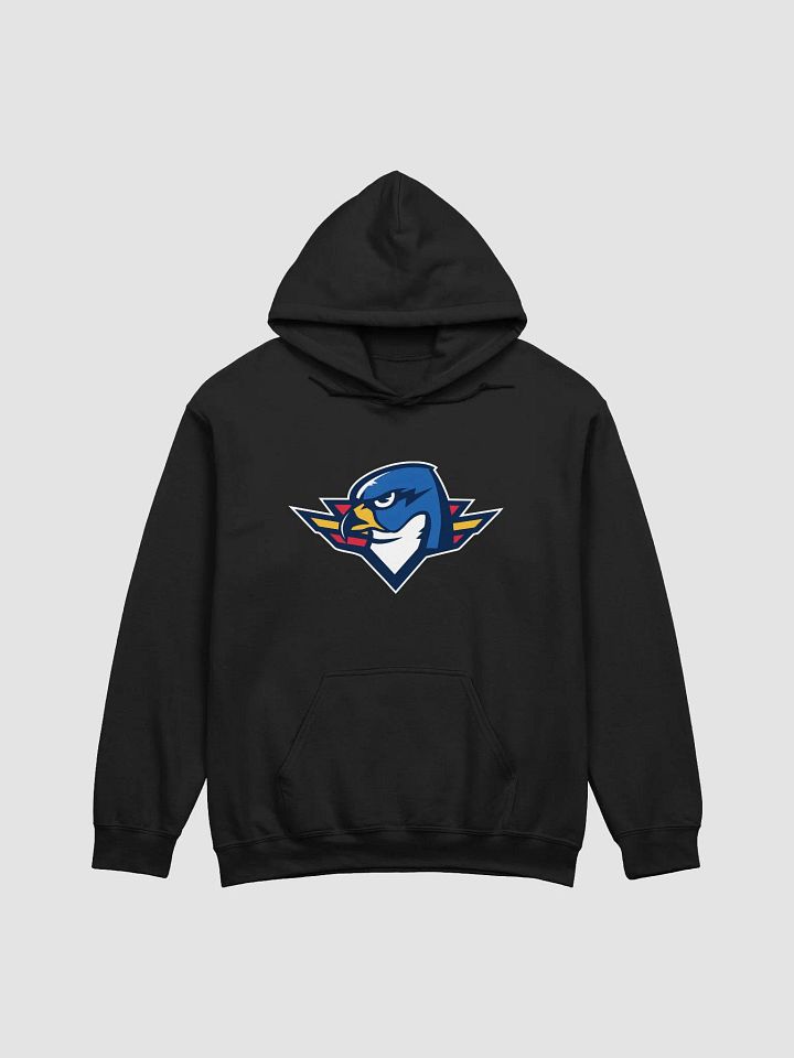 Thunderbirds Mascot Hoodie product image (2)