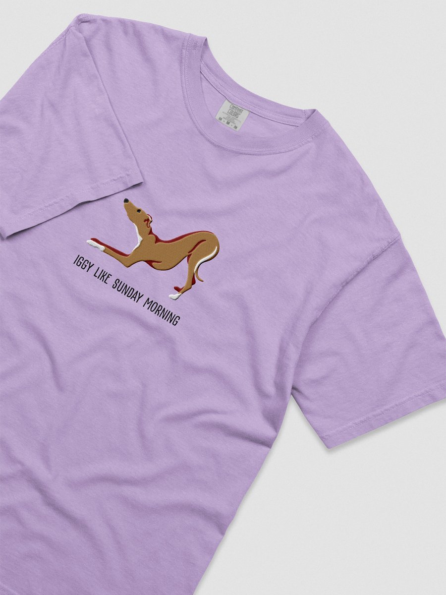 Iggy Like Sunday Morning T-Shirt(Embroidered) of an Italian Greyhound(Tan) product image (45)