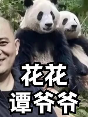 花花和谭爷爷之间的故事，感人的程度比韩剧还催泪