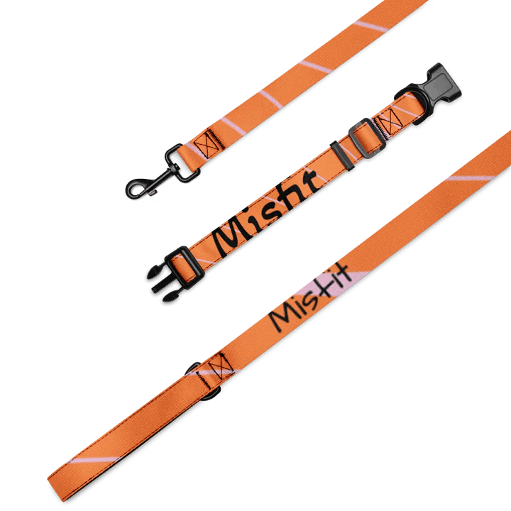Misfit member dog collar and leash product image (1)