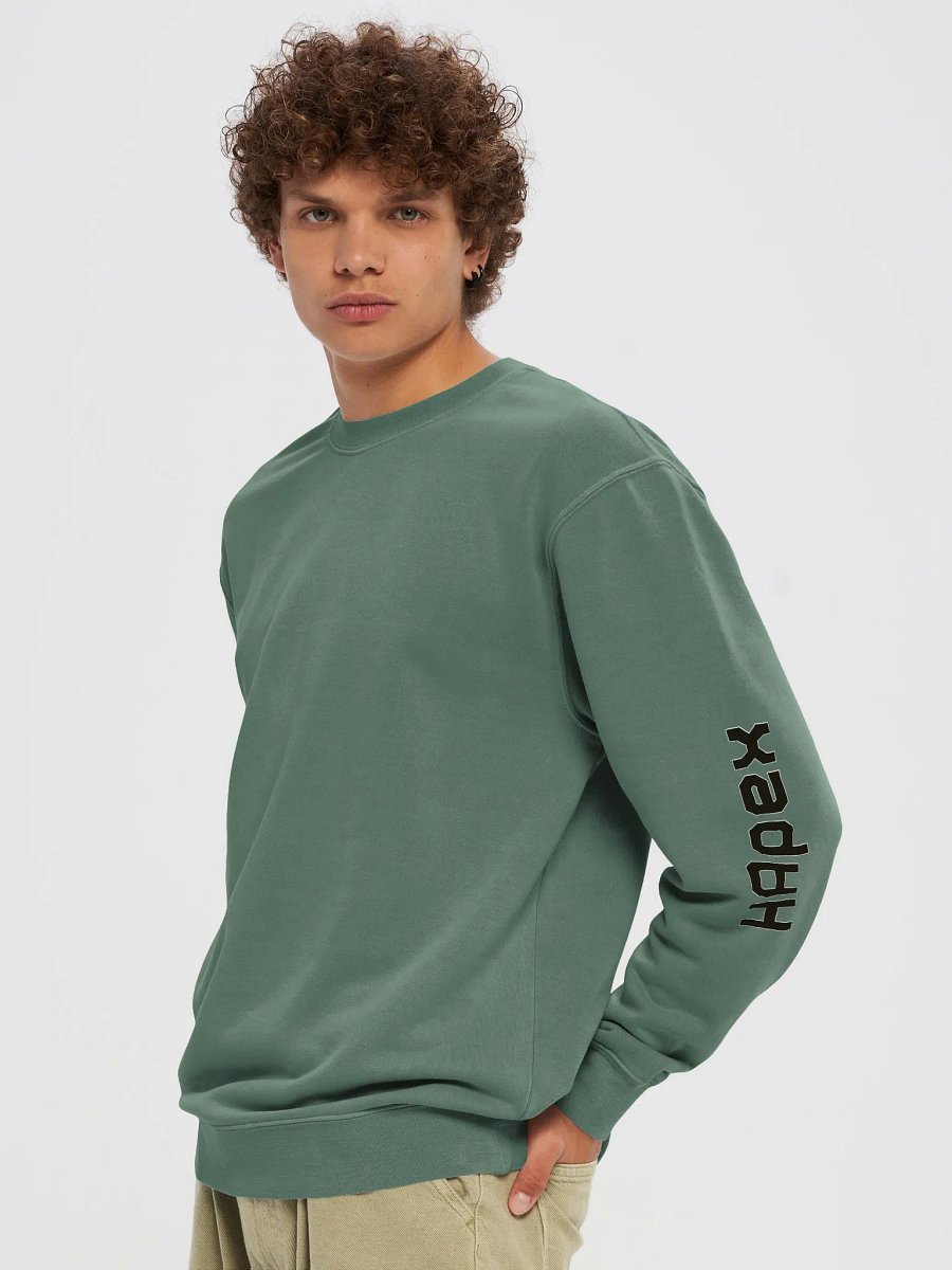 Unisex Midweight Pigment Dyed Sweatshirt - Black HApex Gear Black Logo product image (5)