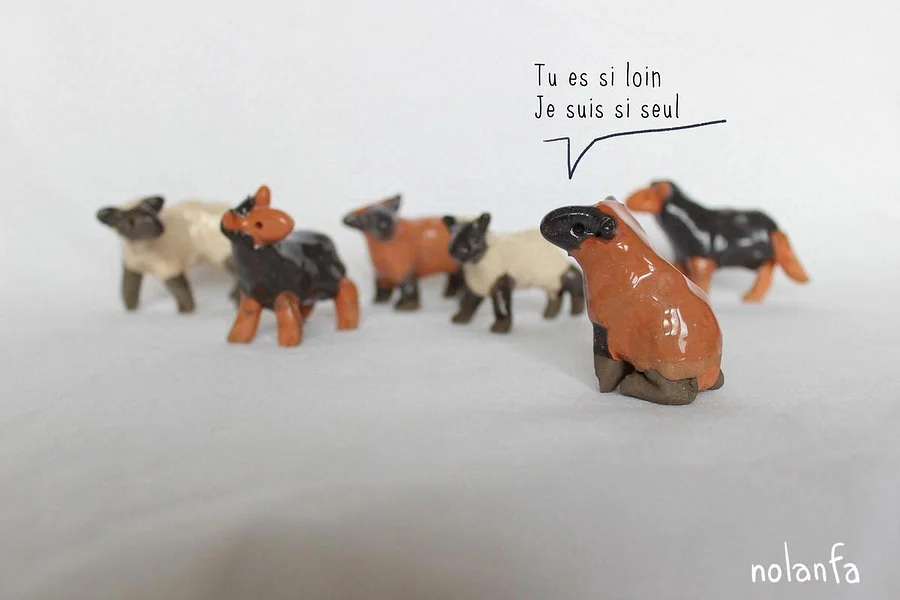 Dramatic Sheep: Postcard Print (En, Fr) product image (3)