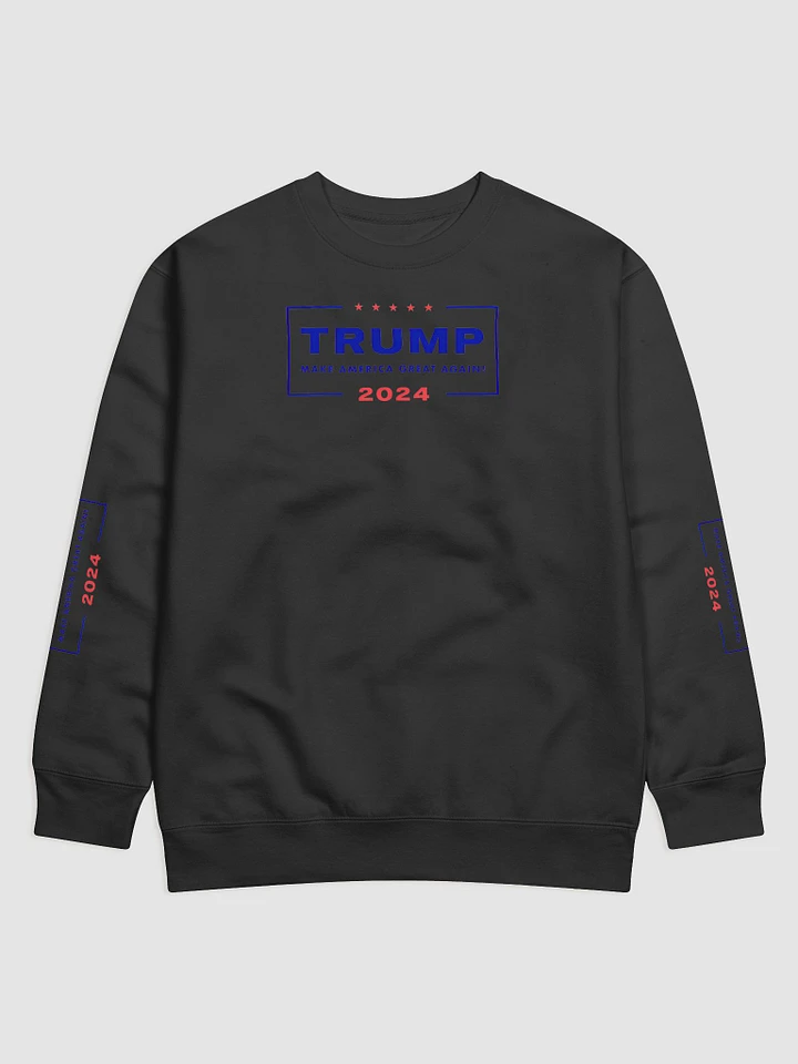 2024 American Campaign Sweatshirt product image (1)