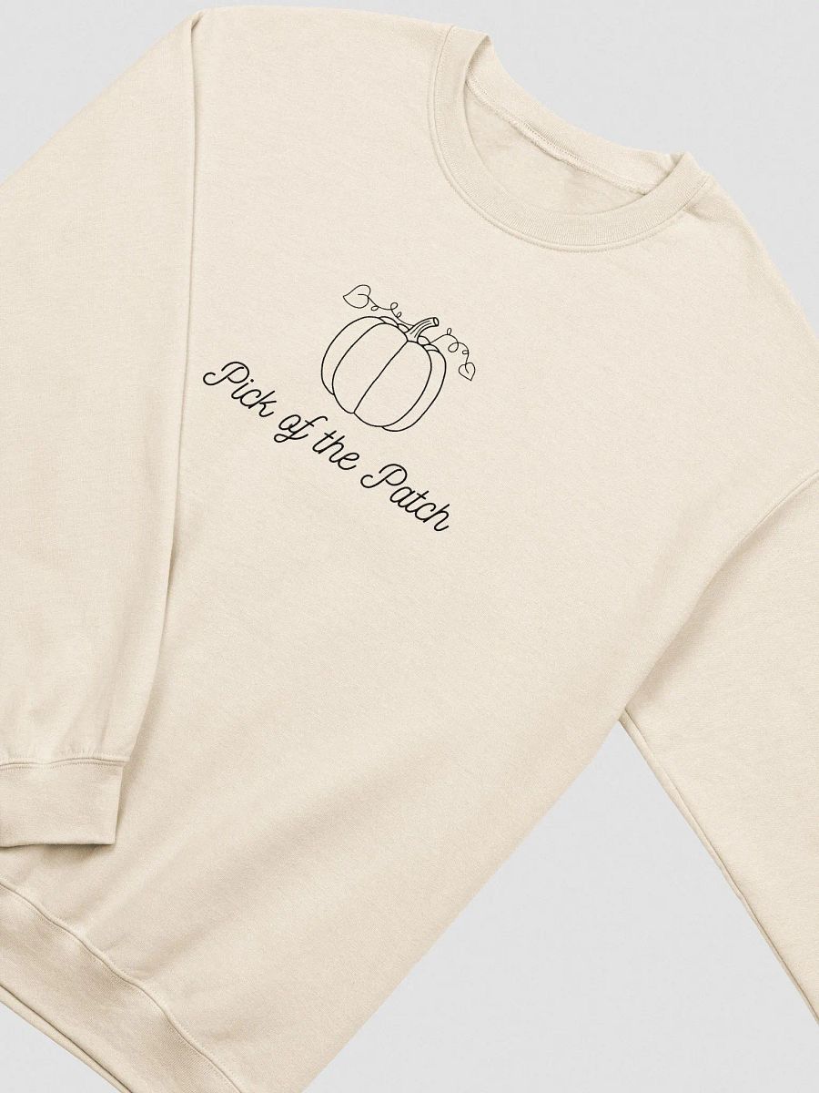 Pick of the Patch Pumpkin Fall Embroidery Sweatshirt – Unisex Autumn Apparel product image (2)
