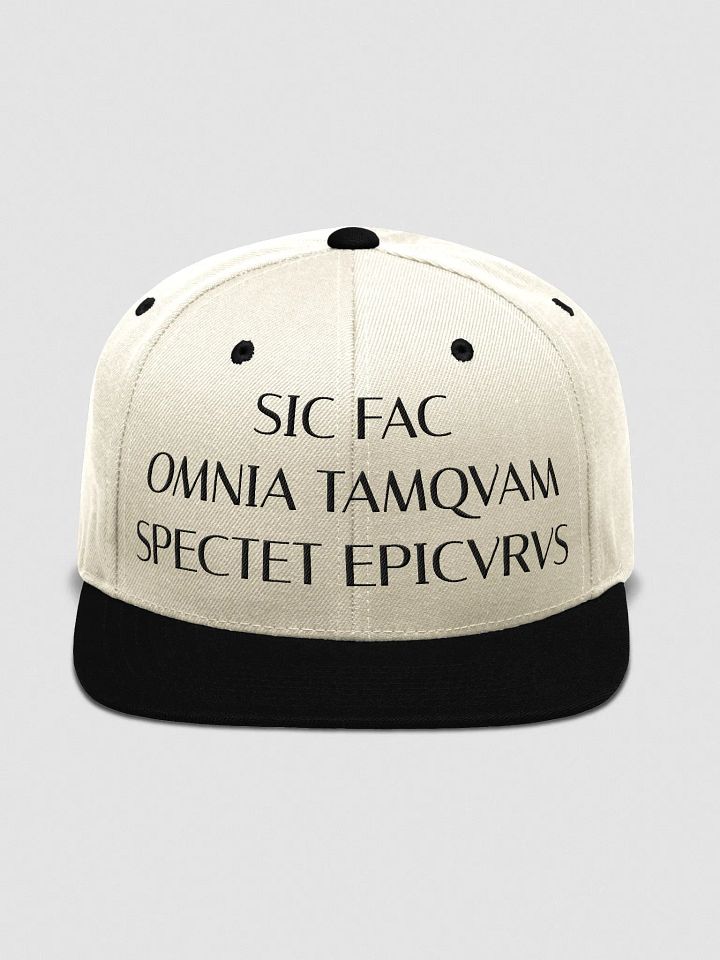 SOTSFE DARK (Yupoong Wool Blend Snapback Cap) product image (2)