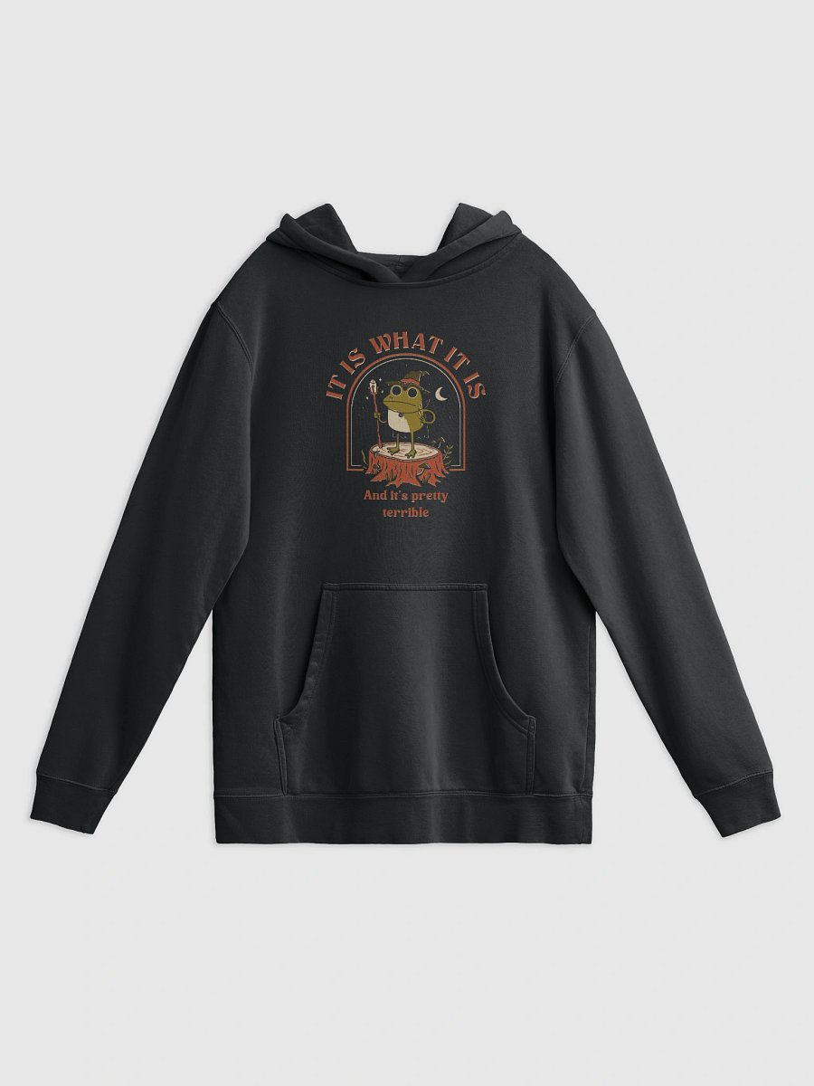 It Is What It Is - Hoodie product image (1)