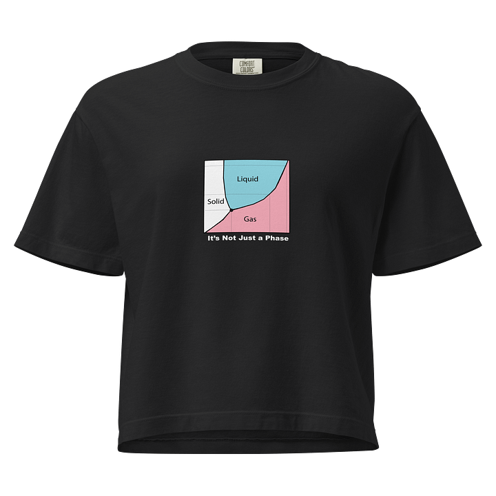It's Not Just a Phase- Transgender Shirt product image (1)