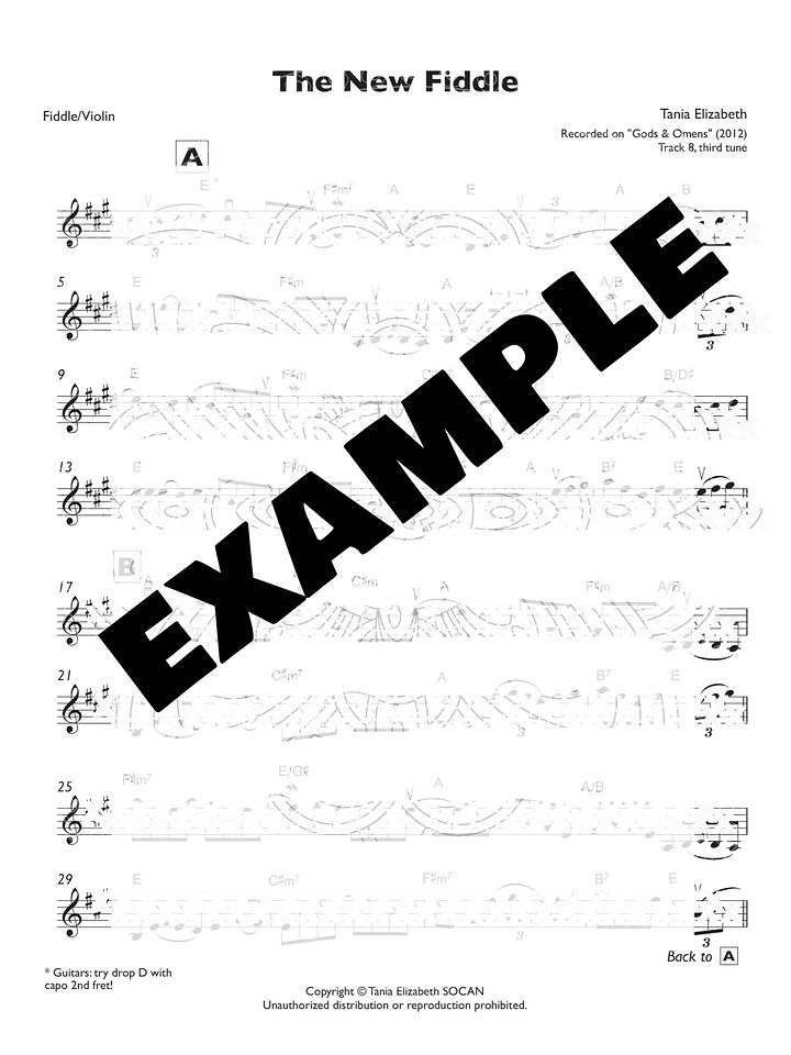 "The New Fiddle" Sheet Music & Audio recording product image (2)