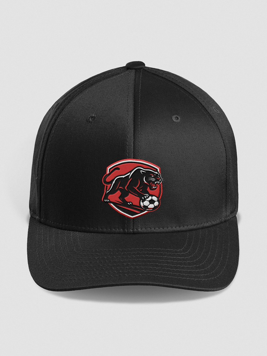Panther Power Flexfit Cap product image (1)