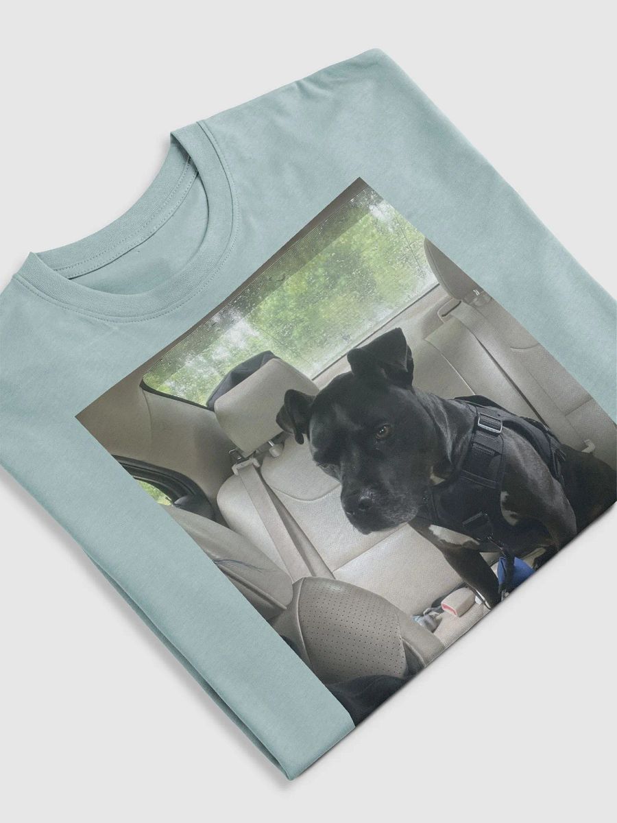 tee product image (22)