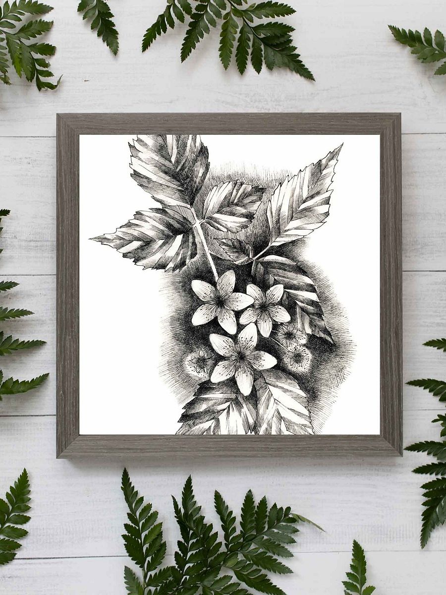 Blank Canvas Masterpieces - Jasmine product image (59)