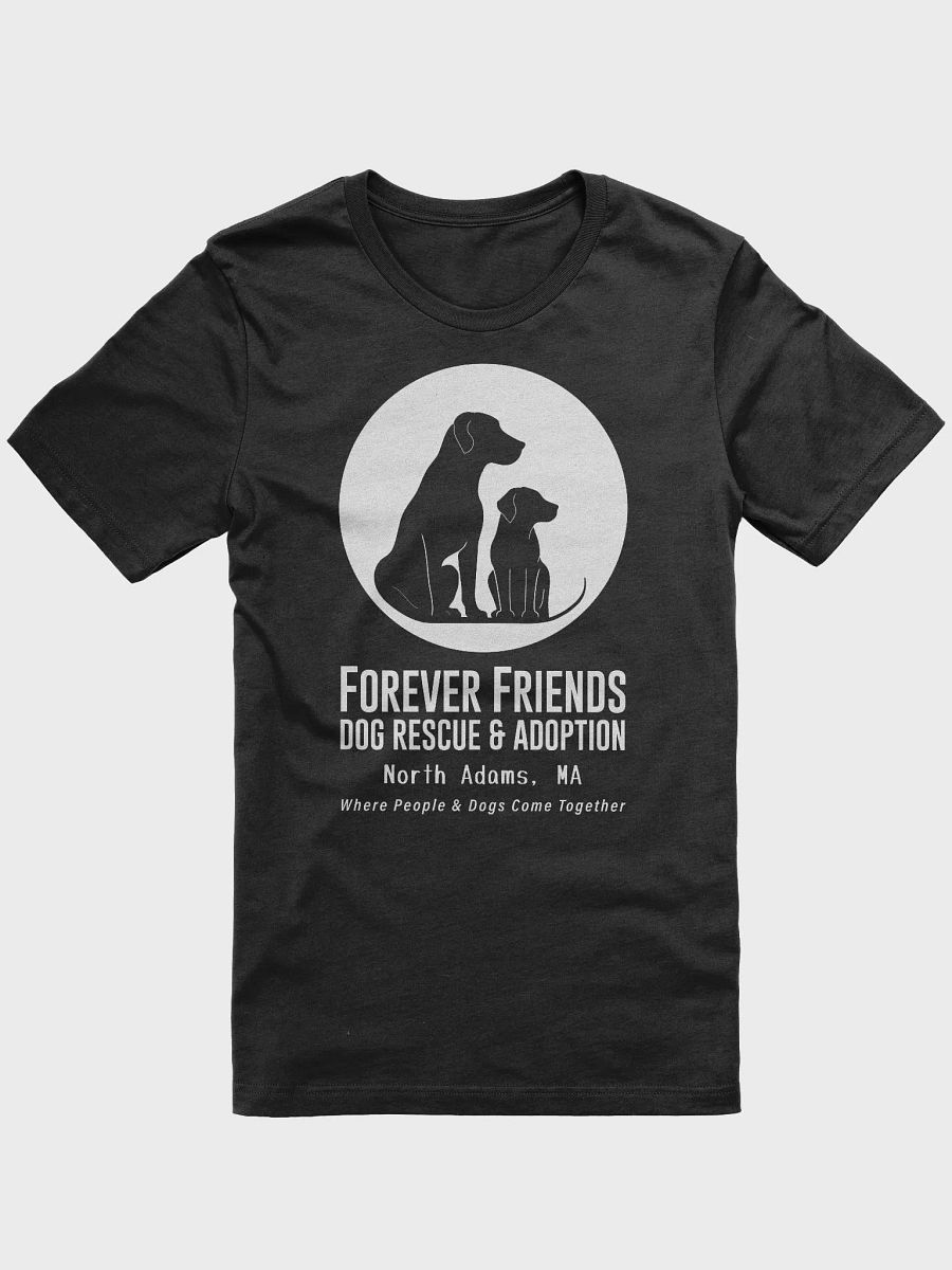Forever Friends - Togetherness product image (1)