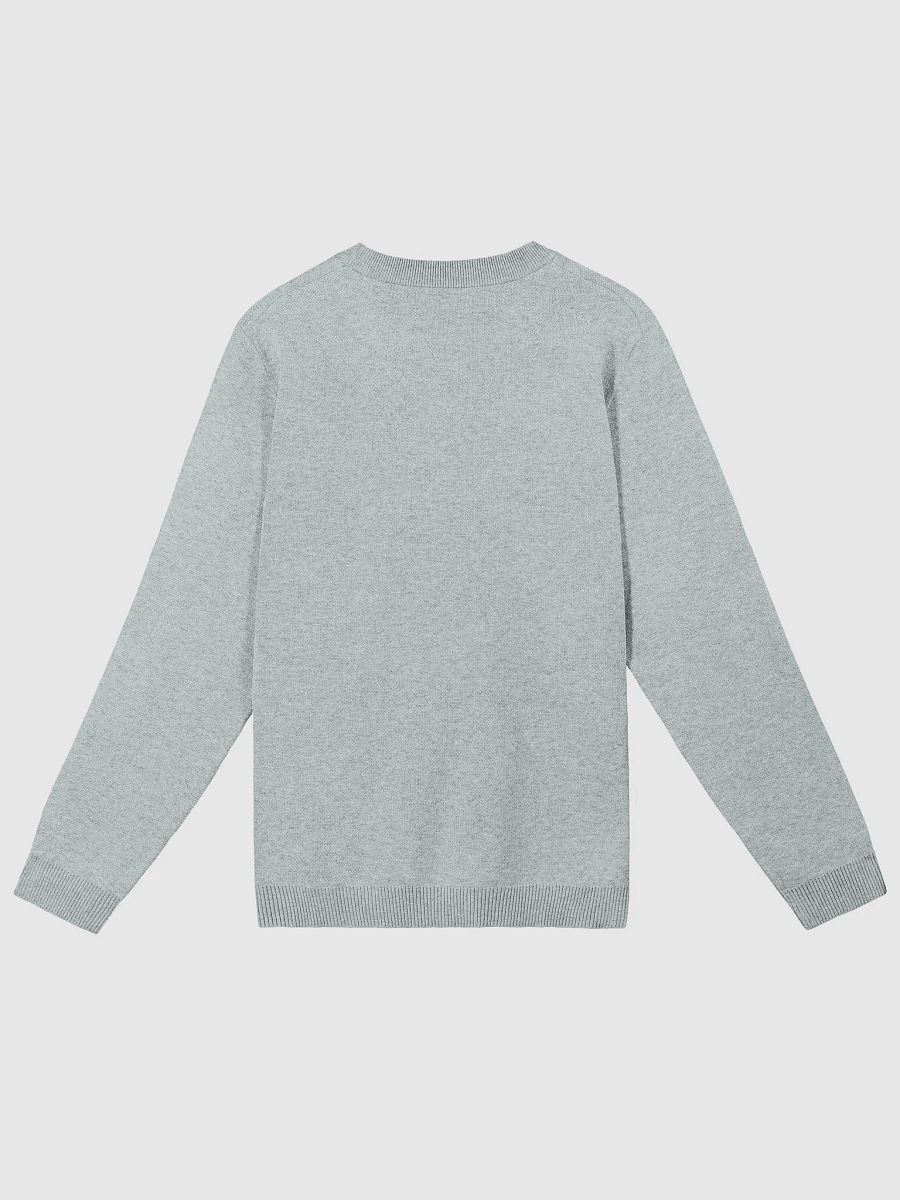 PLEASE DON'T MAKE ME TALK (light blue duotone) knitwear classic crewneck product image (7)