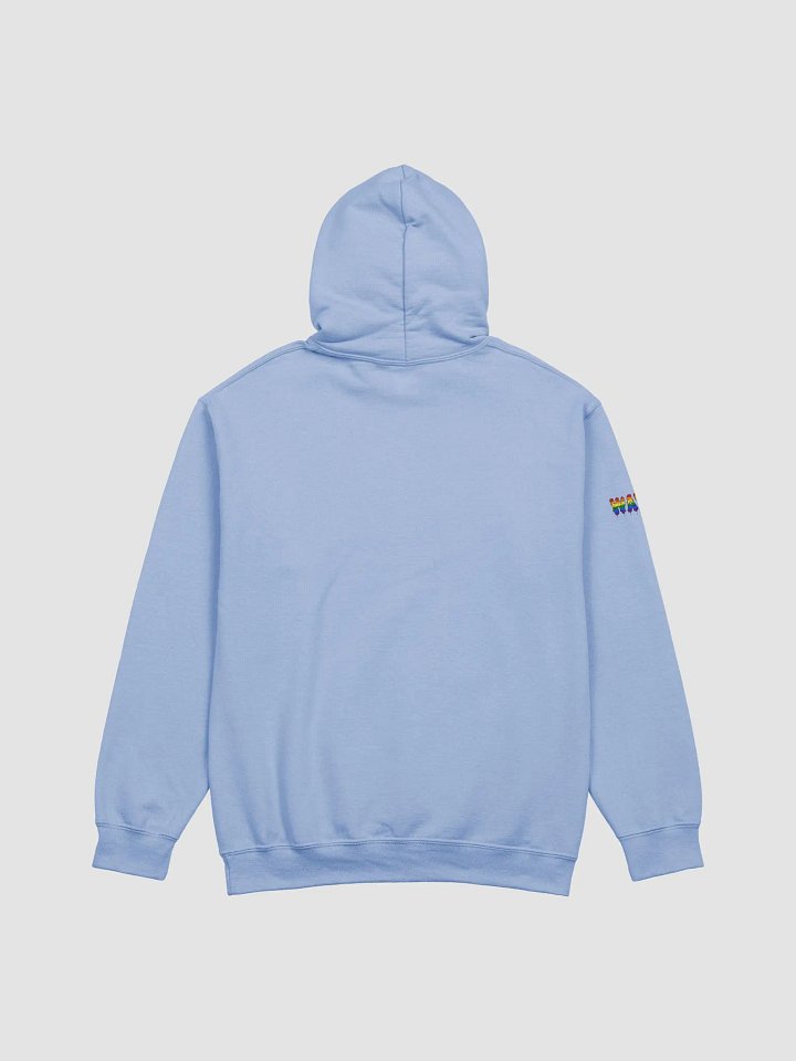 #DUH Bi Hoodie product image (10)