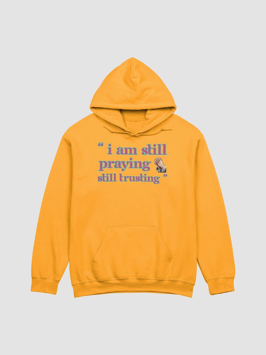 I am Still Praying, Still Trusting Gildan Hoodie. product image (2)
