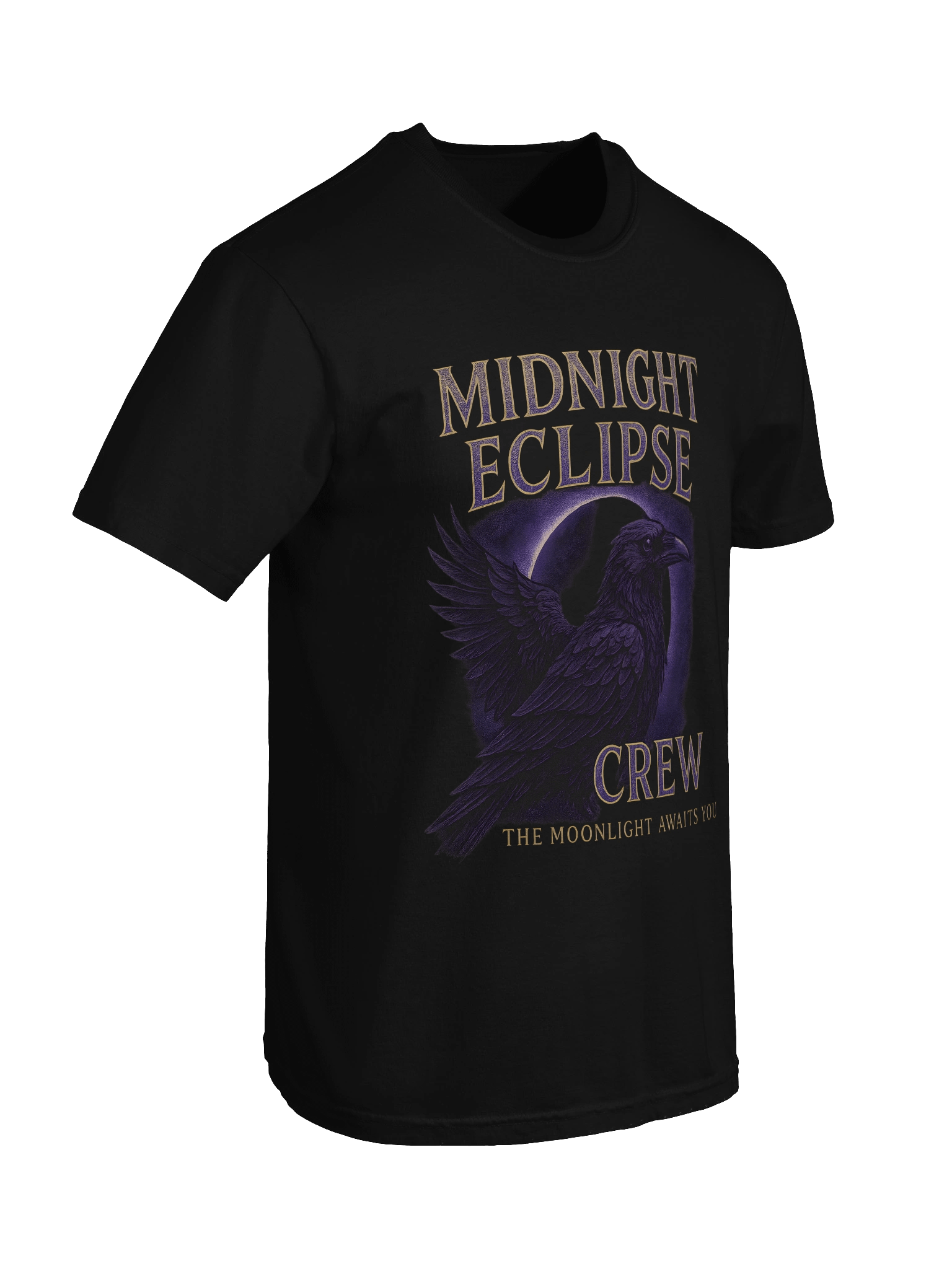 Feathers of Midnight T-Shirt product image (7)
