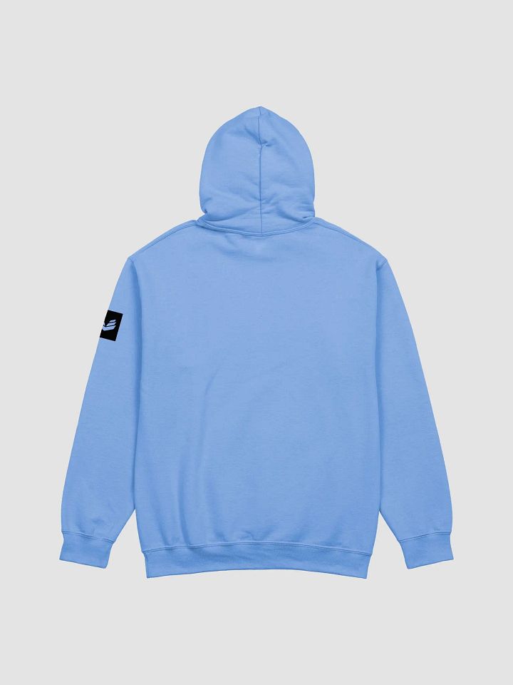 International Movement Hoodie - Carolina Blue product image (2)