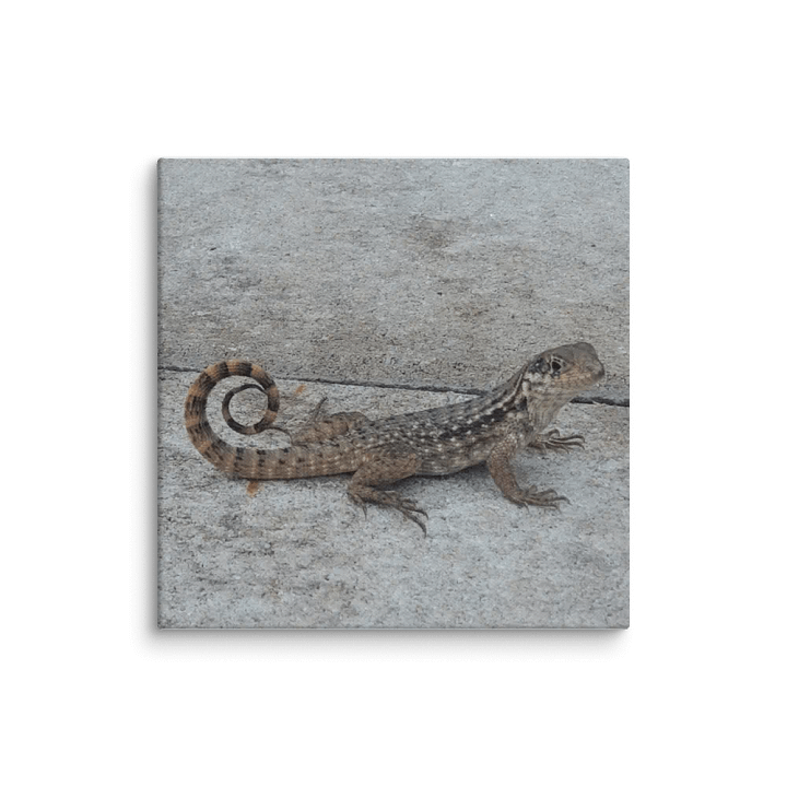 Patterned Lizard Canvas product image (1)