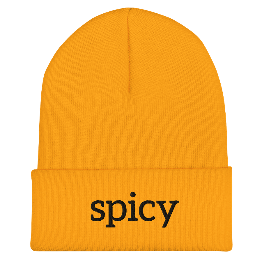 “Spicy” Cuffed Beanie (Black) product image (2)