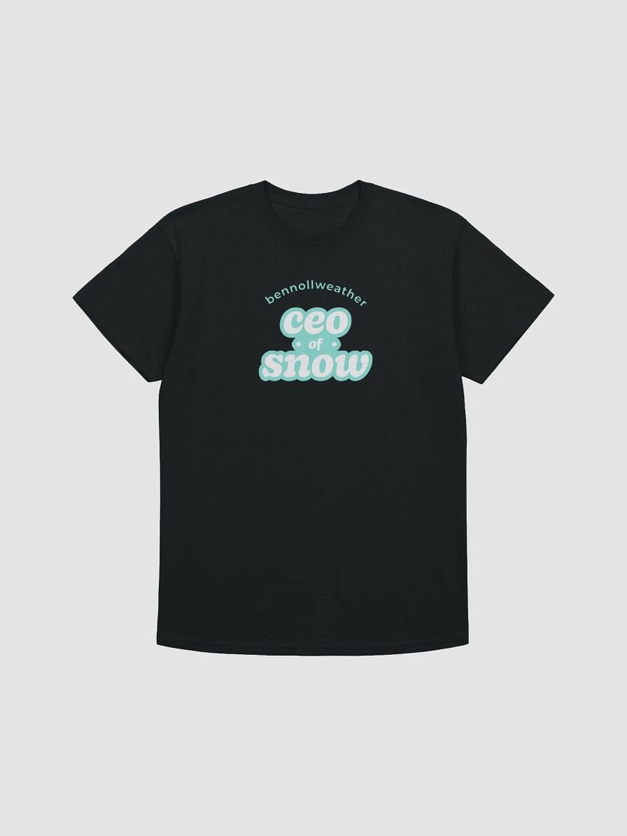 CEO of snow t-shirt - mint logo product image (3)