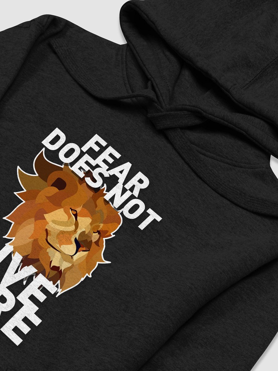 FEAR DOES NOT LIVE HERE product image (25)