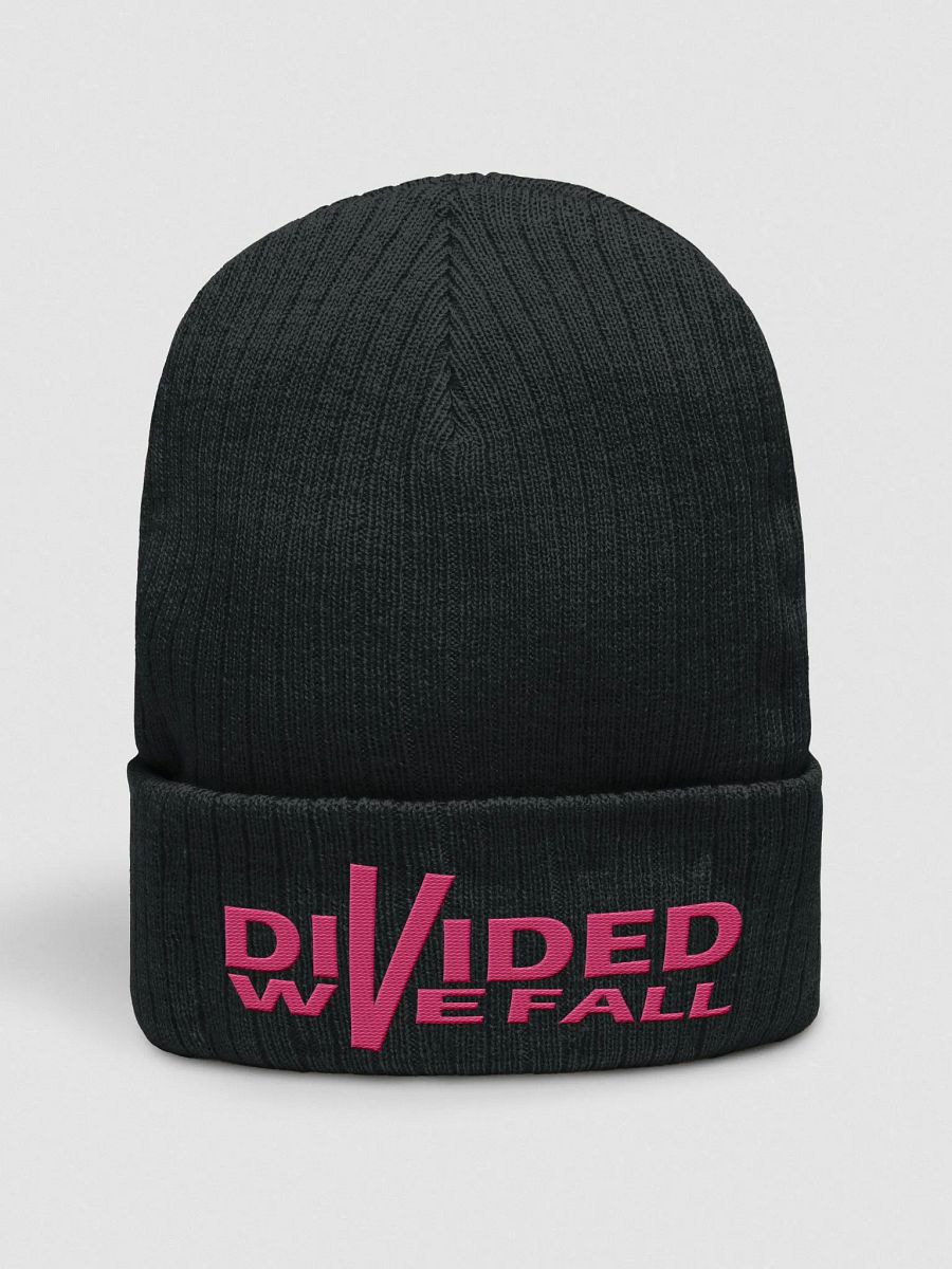 Divided We Fall - Pink - Atlantis Ribbed Knit Beanie product image (1)