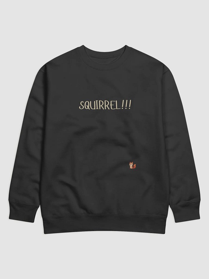 SQUIRREL Premium Sweatshirt product image (1)