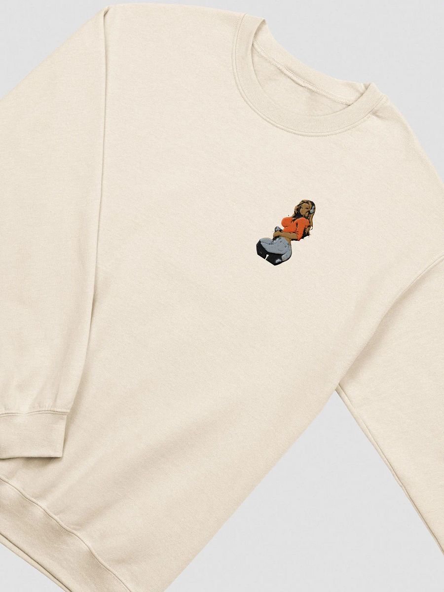 Gamer Spicy EMBROIDERED Sweatshirt product image (31)