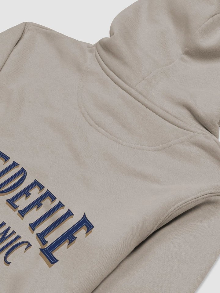 Eco Streetwear Organic Hoodie product image (2)