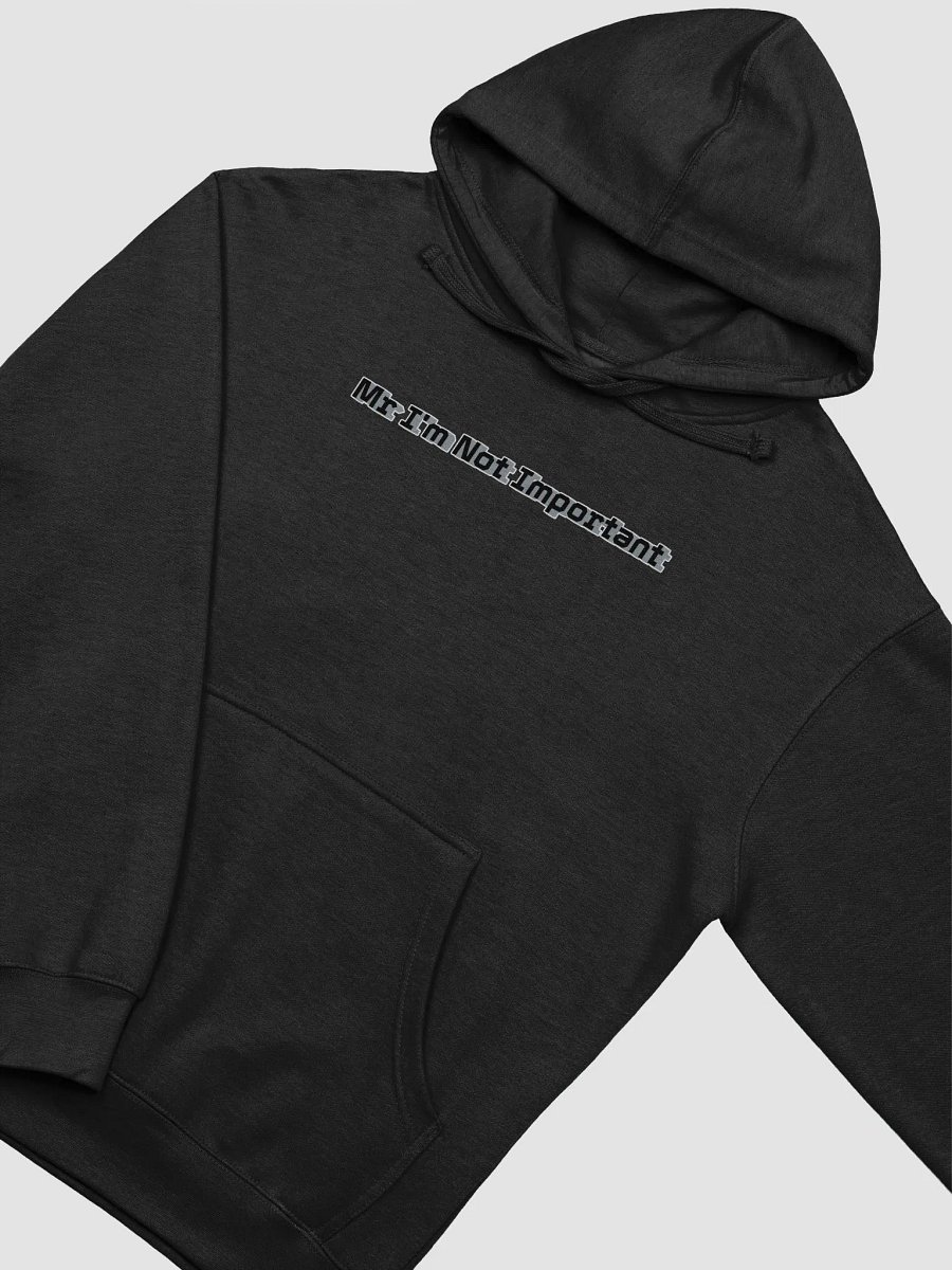 Midweight Hoodie - Mr I'm Not Important product image (6)