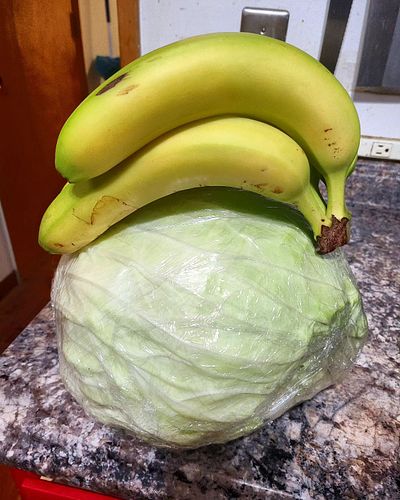 Mrs Hueso said I should have included a banana for scale earlier because she didn't realize just how large that head of cabba...