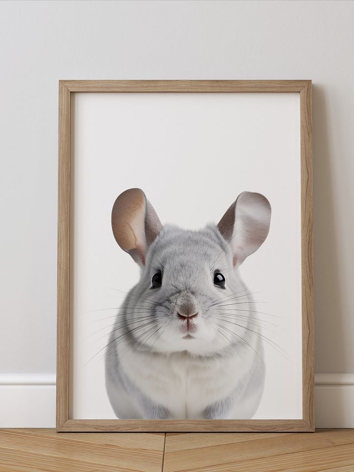Cute Chinchilla Print product image (1)