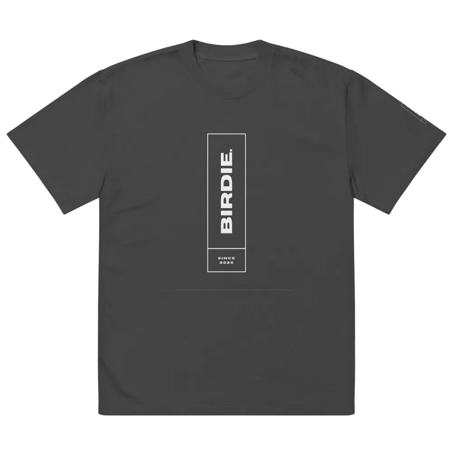 Oversized BIRDIE Since 2025 Premium Faded Tee product image (3)