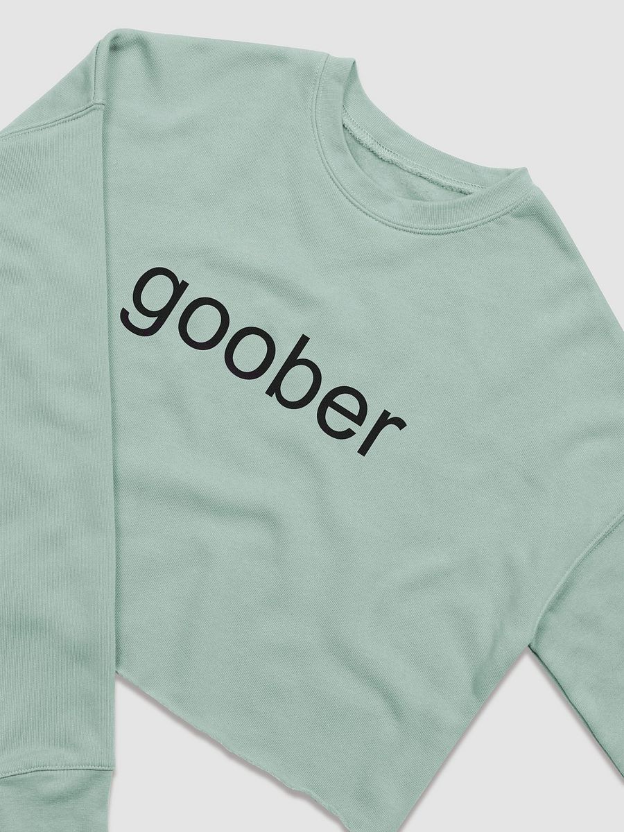Goober (Black Text) Embroidered Crop Top Sweater product image (24)