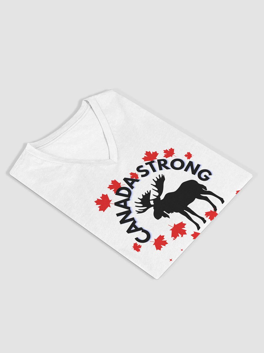 Maple Pride Women's V-Neck Tee product image (13)