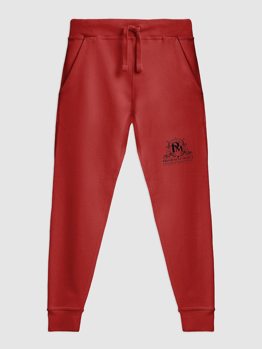 Prominent Merch joggers product image (2)