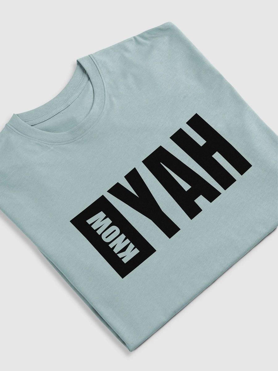 Men's Heritage Tee by KNOW YAH (F) product image (18)