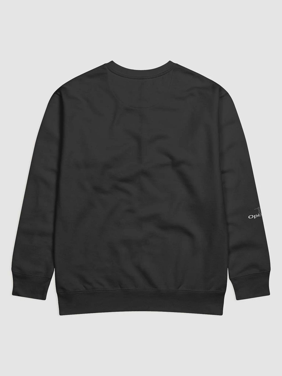 Governed By Criminals - Cotton Heritage Premium Sweatshirt product image (3)