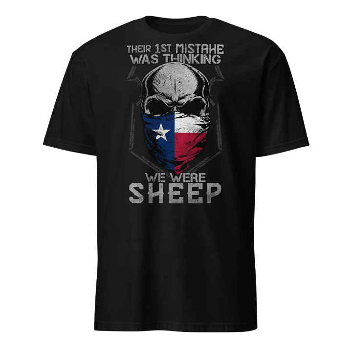 Texas: Their First Mistake product image (1)