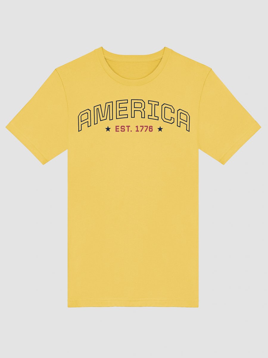 America Typography Supersoft Unisex T-Shirt product image (125)