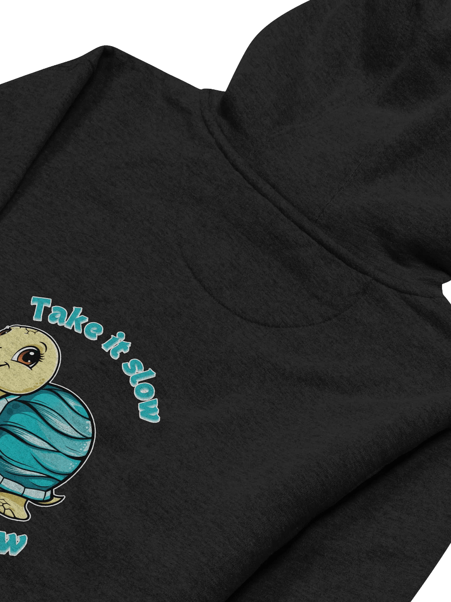 Slow Flow Turtle Unisex Hoodie product image (4)
