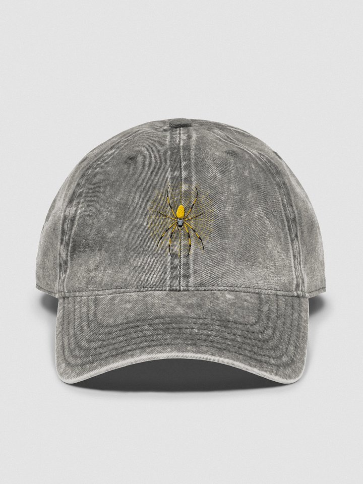 Distressed Orb Weaver Embroidered Hat product image (8)