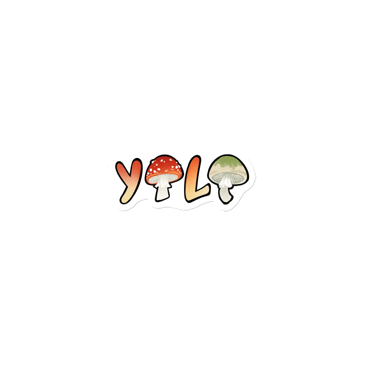 Yolo Magnet product image (1)