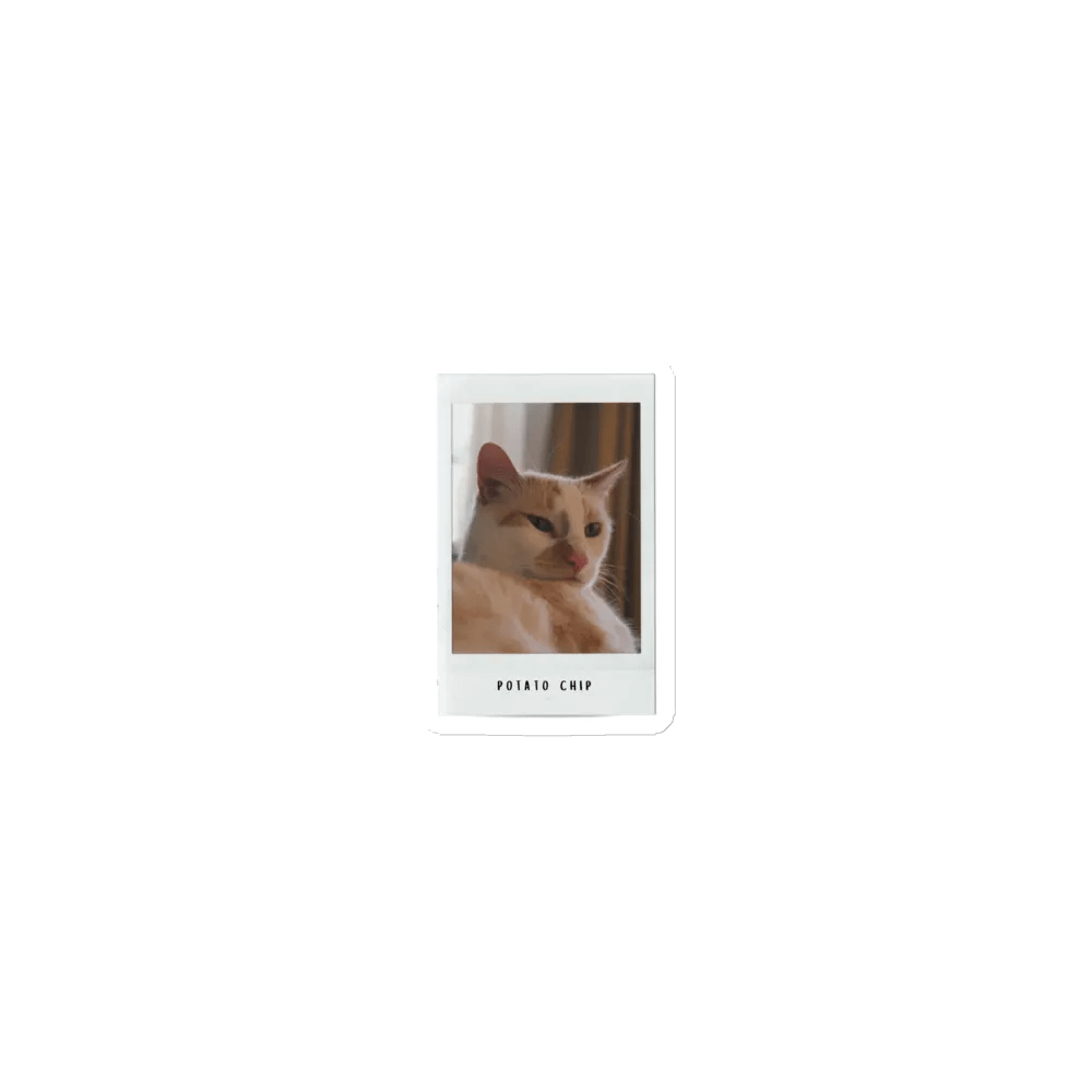 Potato Chip Polaroid Magnet product image (1)