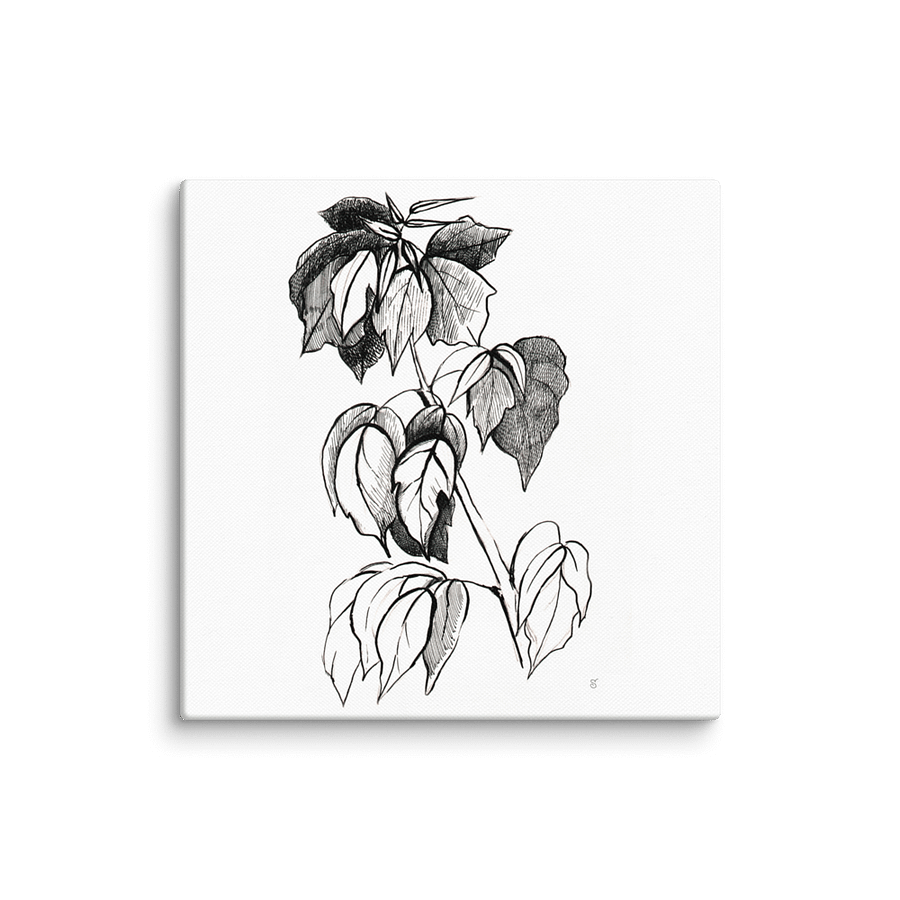 Botanical Line Art Canvas Print - Stylish Graphical Twig product image (1)
