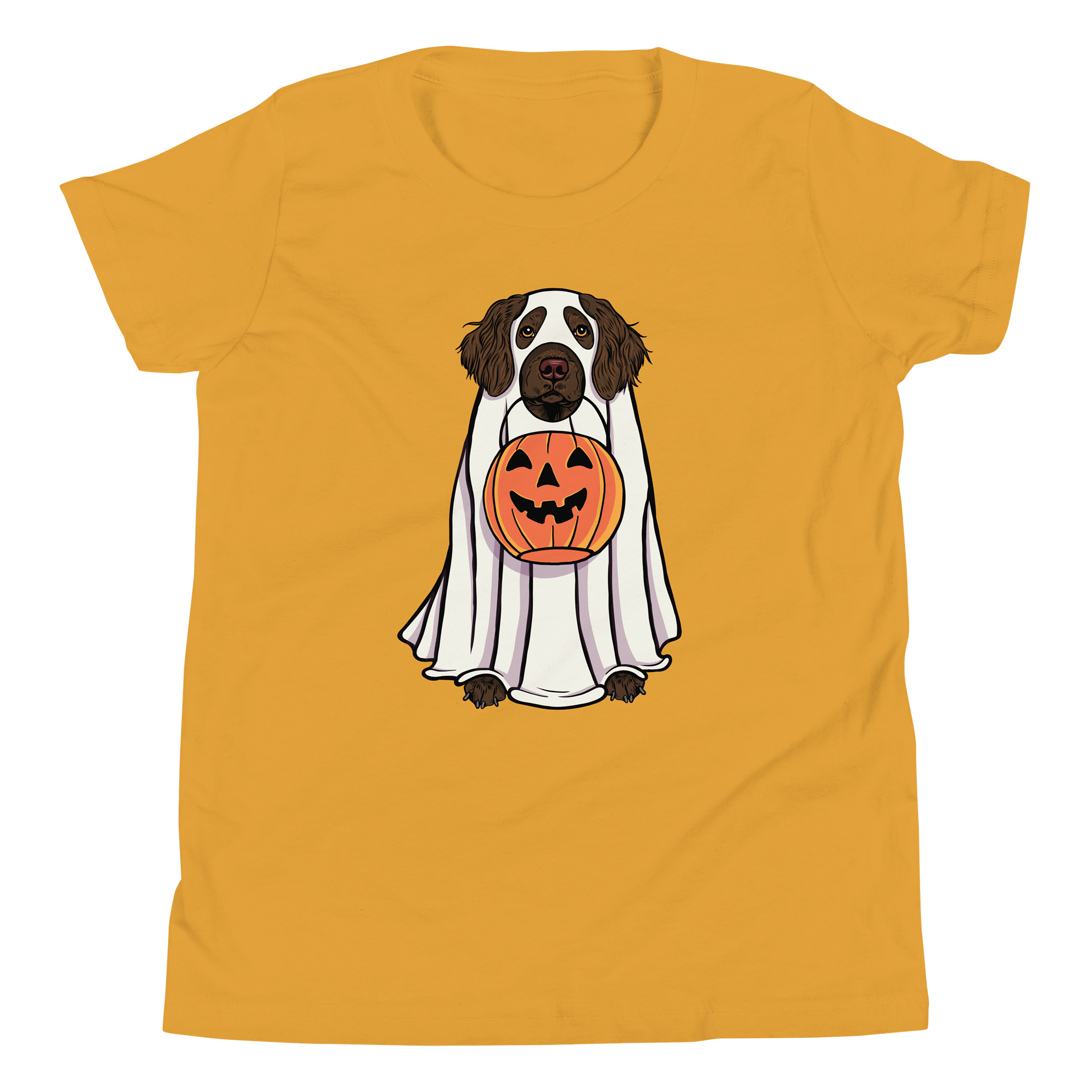 Halloween Boykin Spaniel Youth T-Shirt product image (5)