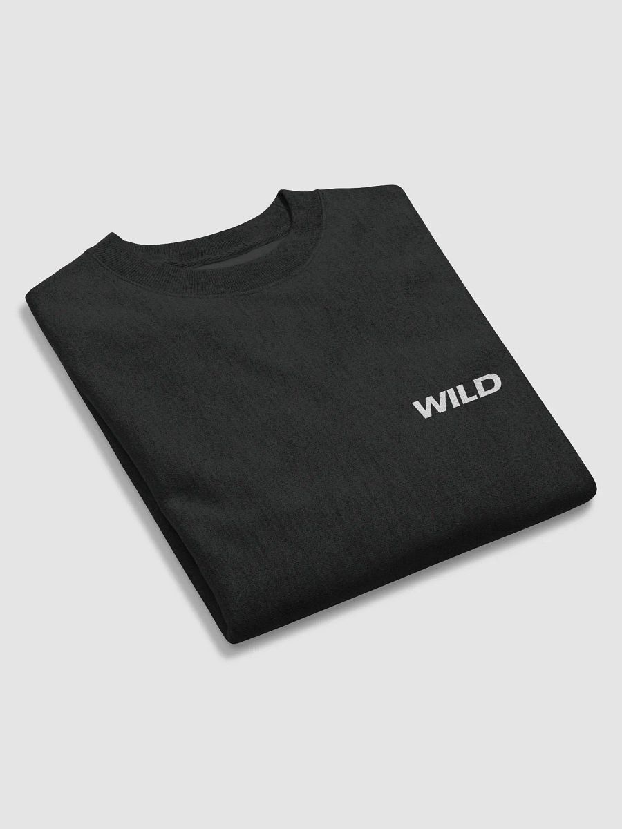 WILD ONES X Champion Crew Sweatshirt product image (5)