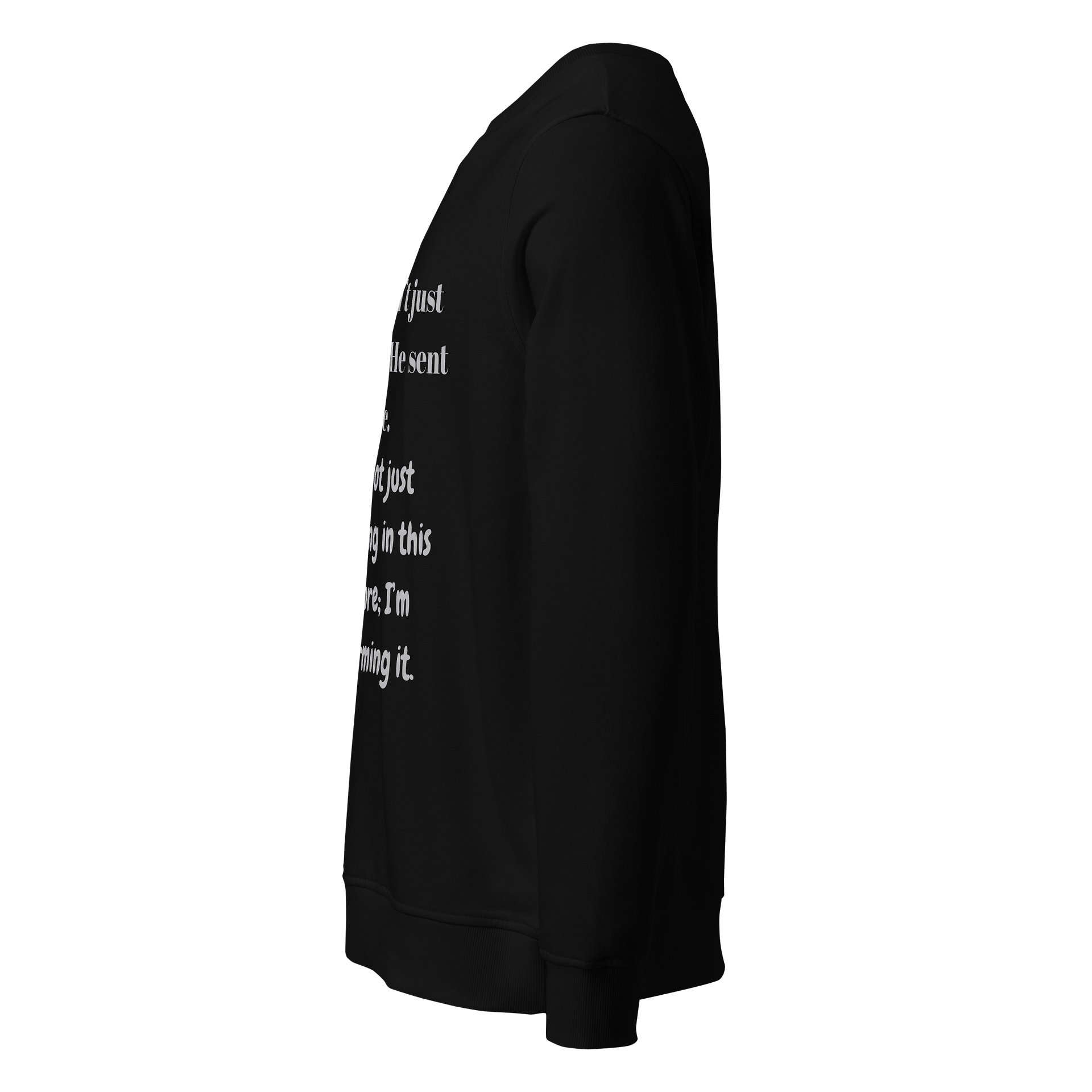 Reforming Culture Organic Sweatshirt product image (3)